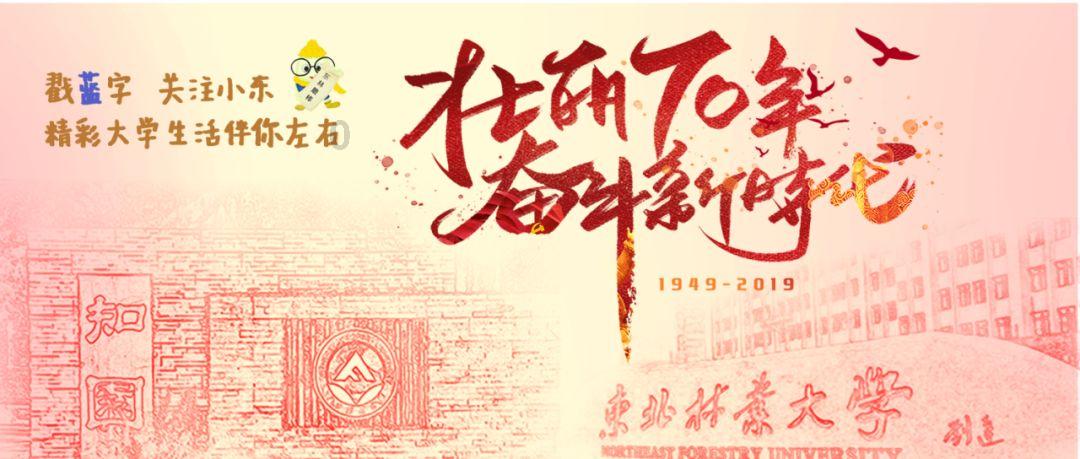 满城区冰雪嘉年华暨神湖四季灯会启动